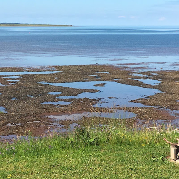 Meet your Posher, Alexandra - Picture 1 of 1